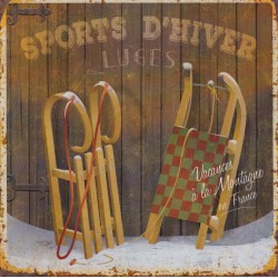 Luge sport d'hiver