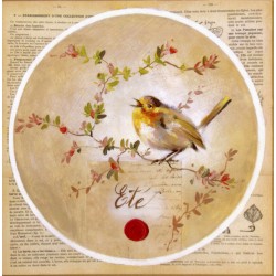 Oiseau été
