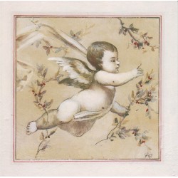 Côté d'ange